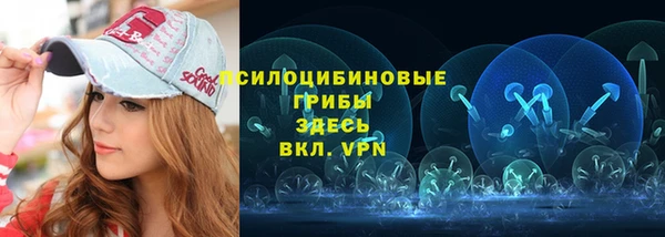 прущая мука Арсеньев