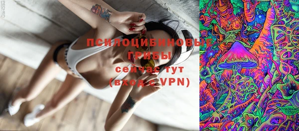 шишки Армянск