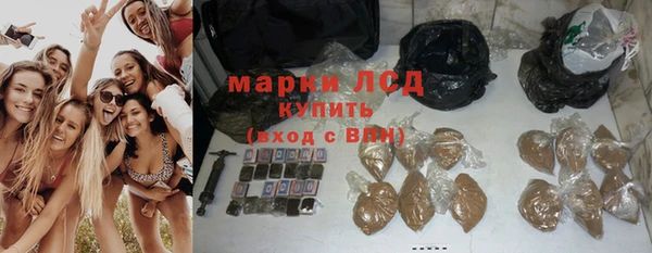шишки Армянск