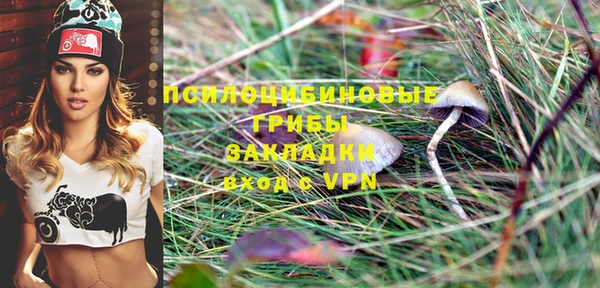 шишки Армянск